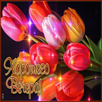 Очаровательная и милая гиф-открытка с тюльпанами Хорошего вечера