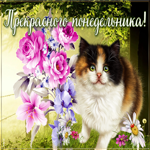 Очаровательная открытка с котиком Прекрасного понедельника