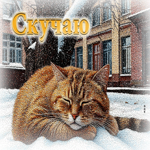 Очаровательная снежная гиф-открытка Скучаю