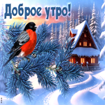 Очаровательная зимняя открытка с птичкой Доброе утро