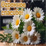 Огромное спасибо! Я этого не забуду