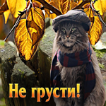 Оптимистическая гиф-открытка с котом Не грусти
