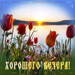 Оригинальная открытка хорошего вечера у озера с тюльпанами