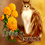 Оригинальная открытка с кошкой Добра и счастья