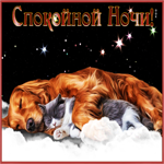Оригинальная открытка с собакой и кошкой Спокойной ночи