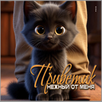 Открытка Приветик! Нежный от меня