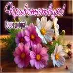 Открытка Приветствую! Всем добра