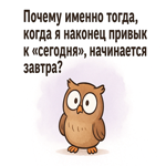 Открытка с забавным моментом дня