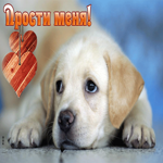 Отличная открытка с печальным псом Прости меня