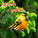 Postcard отличная открытка с желтой птичкой хорошего денечка!