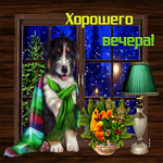 Picture отличная зимняя открытка с собакой хорошего вечера