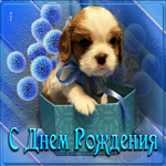 Пленительная и креативная гиф-открытка с щенком С днем Рождения