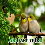 Пленительная и очаровательная открытка с птичками Люблю тебя!