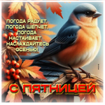 Погода радует, погода шепчет. С пятницей