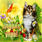 Picture потрясающая открытка доброе утро! с котом и цветами