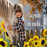 Потрясающая открытка с лошадью Скучаю по тебе...