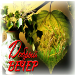 Прекрасная летняя гиф-открытка Добрый вечер