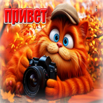 Прекрасная осенняя гифка с котом Привет!
