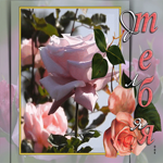 Прекрасная открытка с нежными розами Для тебя