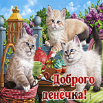 Прекрасная открытка с тремя котиками Доброго денечка