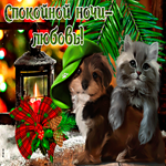 Прелестная открытка с котом и собакой Спокойной ночи - любовь