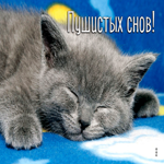 Превосходная открытка Пушистых снов! С котенком