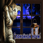 Превосходная открытка с котенком Спокойной ночи