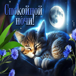 Прикольная гиф-открытка со спящим котенком Спокойной ночи