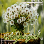 Приветливая летняя гиф-открытка Добрый день