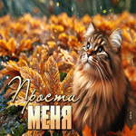 Приветливая осенняя гиф-открытка Прости меня