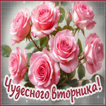 Приятная гиф-открытка Чудесного вторника