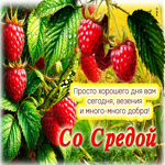 Просто хорошего дня вам сегодня, везения и много-много добра