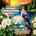 Пусть день будет полон светлых моментов и добрых встреч!