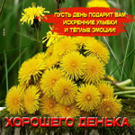 Пусть день подарит вам искренние улыбки и теплые эмоции