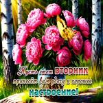 Пусть этот вторник принесет вам удачу и хорошее настроение!