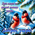 Пусть каждый час приносит маленькую радость