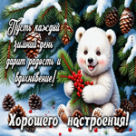 Пусть каждый зимний день дарит радость и вдохновение