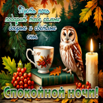 Пусть ночь подарит тебе самые добрые и светлые дни