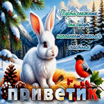 Пусть снежные дни будут неполнены смехом и счастьем