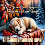 Пусть сны будут теплыми, как плед