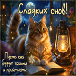 Пусть сны будут яркими и приятными, сладких снов