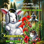 Пусть вечер наполняет позитивом! Хорошего вечера