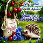 Пусть воскресенье подарит силы и энергию для новых свершений