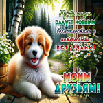 Пусть жизнь радует новыми возможностями и интересными встречами