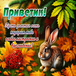 Пусть золотая осень подарит тебе особое настроение и вдохновение