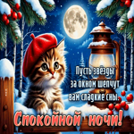 Пусть звезды за окном шепчут вам сладкие сны