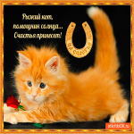 Рыжий кот счастья принесёт