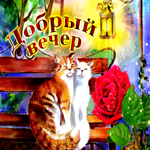 Романтичная открытка с котиками Добрый вечер