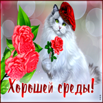 Романтичная открытка с белой кошечкой Хорошей среды!