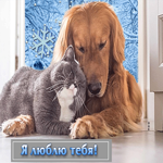 Романтичная открытка с кошечкой и собачкой Я люблю тебя
